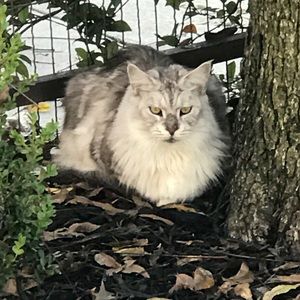 Meet your Posher, Sherri